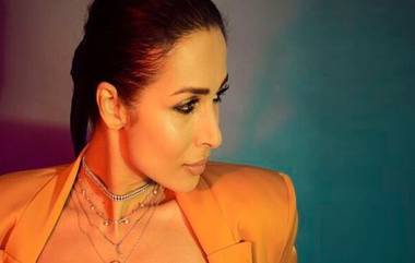 Malaika Arora Bold Photoshoot: मलायका अरोरा ने केलेले हे बोल्ड फोटोशूट पाहून तुम्हीही व्हाल थक्क (See Photos)