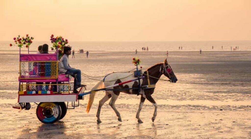 अलिबाग येथे घोडागाडीची समुद्रातून सफर, पशुप्रेमींनी केली जिल्हाधिकाऱ्यांकडे तक्रार दाखल अलिबाग येथे घोडागाडीची समुद्रातून सफर, पशुप्रेमींनी केली जिल्हाधिकाऱ्यांकडे तक्रार दाखल