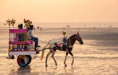 अलिबाग येथे घोडागाडीची समुद्रातून सफर, पशुप्रेमींनी केली जिल्हाधिकाऱ्यांकडे तक्रार दाखल