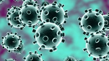 Pandoravirus: लवकरच होणार नवीन व्हायरसची सुरुवात? शास्त्रज्ञांना आढळला तब्बल 48 हजार वर्षे दबला गेलेला जुना विषाणू, जगभरात भीतीचे वातावरण
