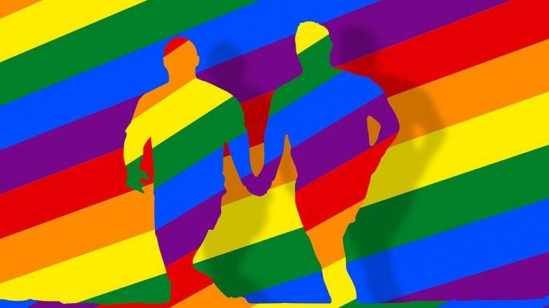 LGBT Community Issues: देशातील एलजीबीटी समुदायाला दिलासा; भेडसावणाऱ्या समस्यांचा आढावा घेण्यासाठी केंद्राने स्थापन केली समिती