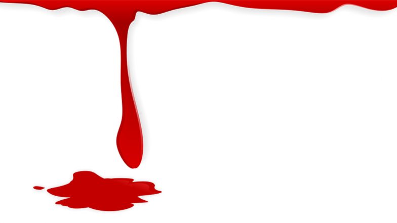 Crime: कौटुंबिक वादातून डोक्यात वीट घालून पत्नीची हत्या, पती फरार