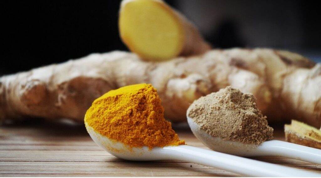Winter Health Tips: थंडीत अनेक आजारांवर मात करण्यासाठी 'सुंठ' ठरेल फायदेशीर; अशा पद्धतीने करा सेवन Winter Health Tips: थंडीत अनेक आजारांवर मात करण्यासाठी 'सुंठ' ठरेल फायदेशीर; अशा पद्धतीने करा सेवन