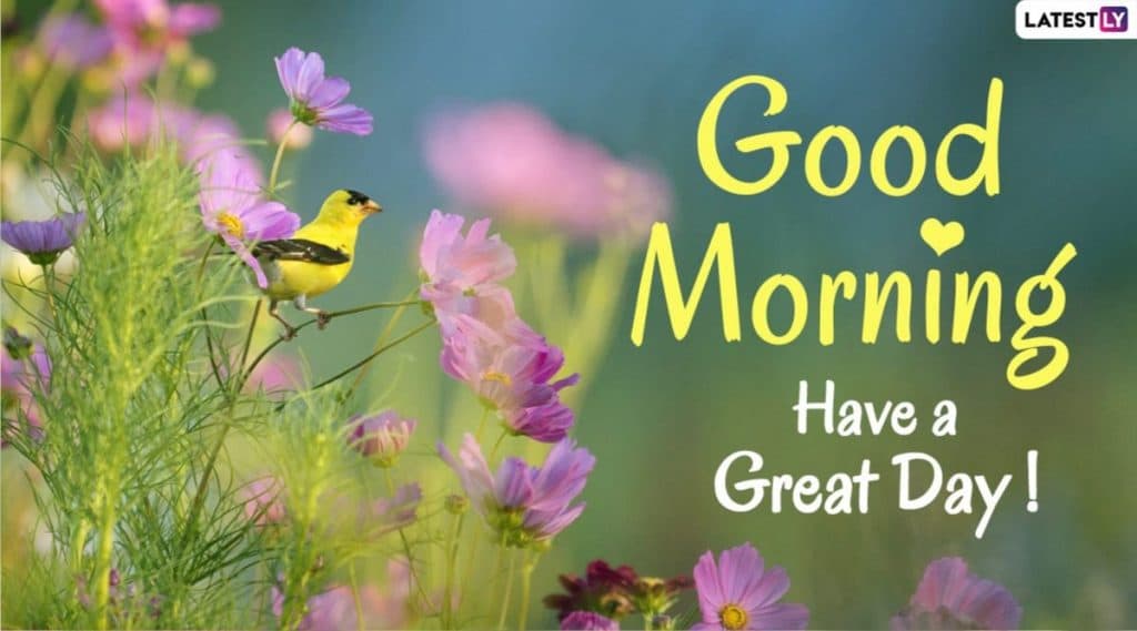 Good Morning Images: शुभ सकाळ इंग्रजी HD Greetings, Wallpapers, Wishes शेअर करुन आपल्या मित्र-मैत्रिणींना द्या नव्या दिवसाच्या शुभेच्छा! Good Morning Images: शुभ सकाळ इंग्रजी HD Greetings, Wallpapers, Wishes शेअर करुन आपल्या मित्र-मैत्रिणींना द्या नव्या दिवसाच्या शुभेच्छा!