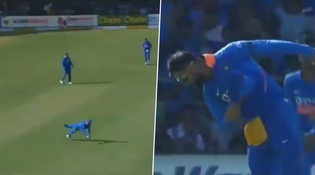IND vs AUS 3rd ODI: बेंगळुरूमध्ये दिसला 'उडता' विराट, मार्नस लाबूशेन चा कॅच पकडल्यावर किंग कोहलीने केले रॉबिन उथप्पाच्या 'कॅप सेलिब्रेशन' चे केले अनुकरण, पाहा Video IND vs AUS 3rd ODI: बेंगळुरूमध्ये दिसला 'उडता' विराट, मार्नस लाबूशेन चा कॅच पकडल्यावर किंग कोहलीने केले रॉबिन उथप्पाच्या 'कॅप सेलिब्रेशन' चे केले अनुकरण, पाहा Video
