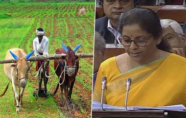 Agriculture Budget 2020 Highlights: केंद्रीय अर्थसंकल्पामध्ये शेतक-यांसाठी करण्यात आली 15 लाख कोटींच्या कर्जाची तरतूद; पाहा कृषी क्षेत्रासाठी या बजेटमध्ये आणखी काय मिळाले ते