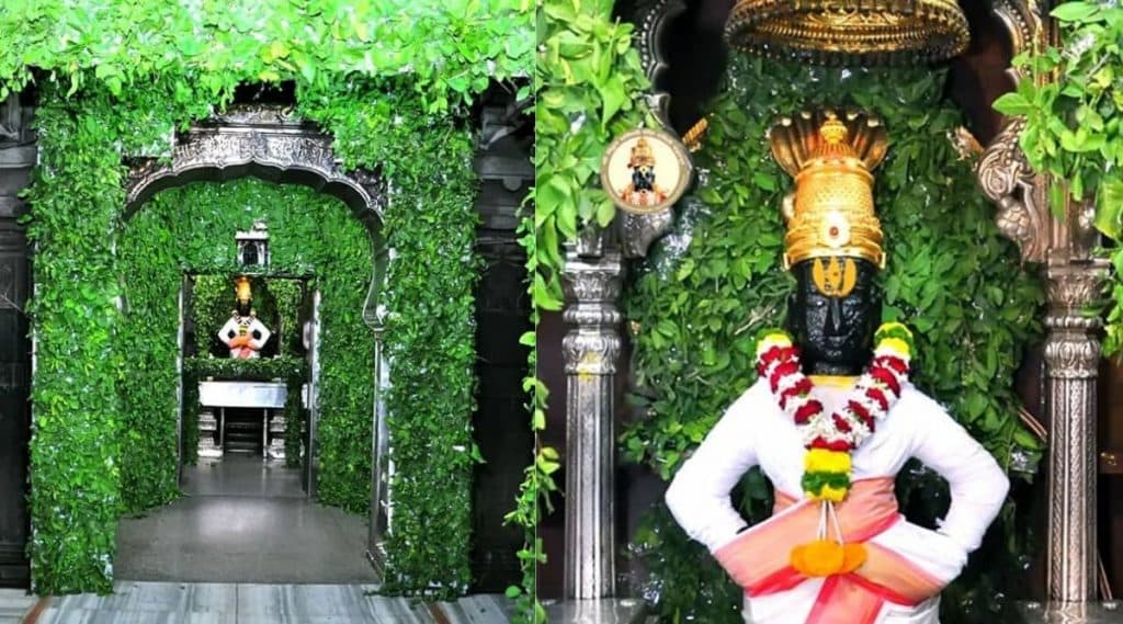 Maha Shivratri 2020: महाशिवरात्र निमित्त पंढरपुरच्या विठ्ठल मंदिराचा गाभा सजला लाखो बेलपत्रांनी (Watch Video) Maha Shivratri 2020: महाशिवरात्र निमित्त पंढरपुरच्या विठ्ठल मंदिराचा गाभा सजला लाखो बेलपत्रांनी (Watch Video)