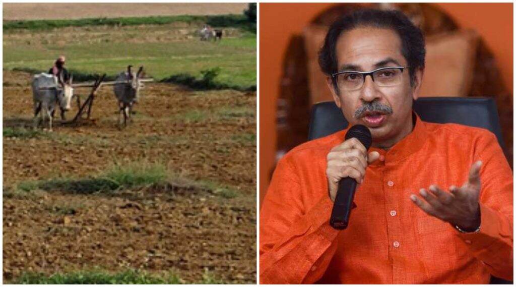 मुख्यमंत्री उद्धव ठाकरे सरकारची शेतकरी कर्जमाफीची पहिली यादी जाहीर, पाहा कोणाला मिळाला लाभ? मुख्यमंत्री उद्धव ठाकरे सरकारची शेतकरी कर्जमाफीची पहिली यादी जाहीर, पाहा कोणाला मिळाला लाभ?