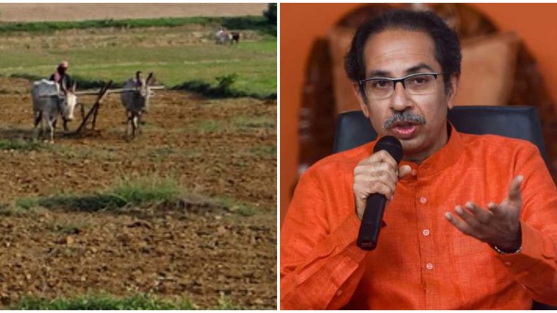 मुख्यमंत्री उद्धव ठाकरे सरकारची शेतकरी कर्जमाफीची पहिली यादी जाहीर, पाहा कोणाला मिळाला लाभ?