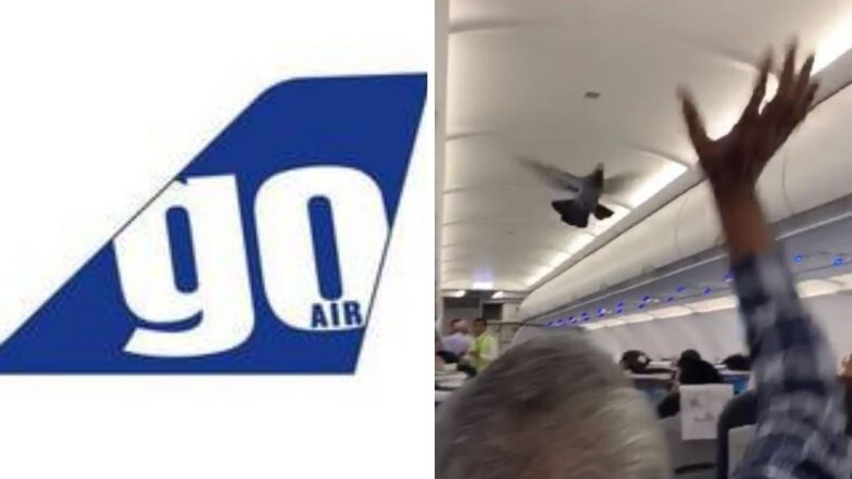 Go Air च्या विमानात उड्डाणादरम्यान घुसले दोन कबुतर, प्रवासी त्रस्त (Watch Video)