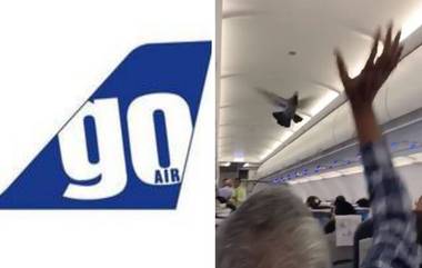 Go Air च्या विमानात उड्डाणादरम्यान घुसले दोन कबुतर, प्रवासी त्रस्त (Watch Video)