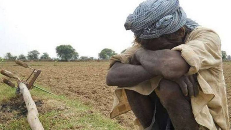 2018 मध्ये देशात झालेल्या 5,763 शेतकरी अत्महत्येपैकी महाराष्ट्रात 2,239; केंद्र सरकारने मागवला अहवाल, लवकरच उपाययोजना सुरु