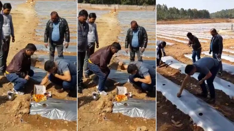 Video: IPL पूर्वी एमएस धोनी रांचीमध्ये करतोय शेती; टरबूज, पपईची लागवड करतानाचा व्हिडिओ सोशल मीडियात व्हायरल