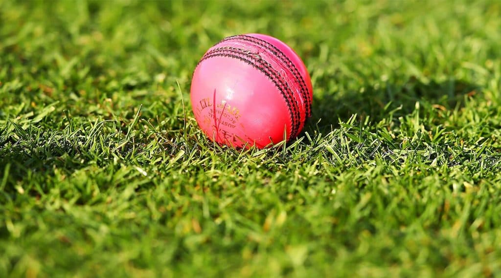 भारतीय संघ ऑस्ट्रेलियामध्ये खेळणार डे-नाईट कसोटी मालिका; Indian Team चा परदेशात पहिल्यांदाच Pink Ball ने रंगणार सामना भारतीय संघ ऑस्ट्रेलियामध्ये खेळणार डे-नाईट कसोटी मालिका; Indian Team चा परदेशात पहिल्यांदाच Pink Ball ने रंगणार सामना