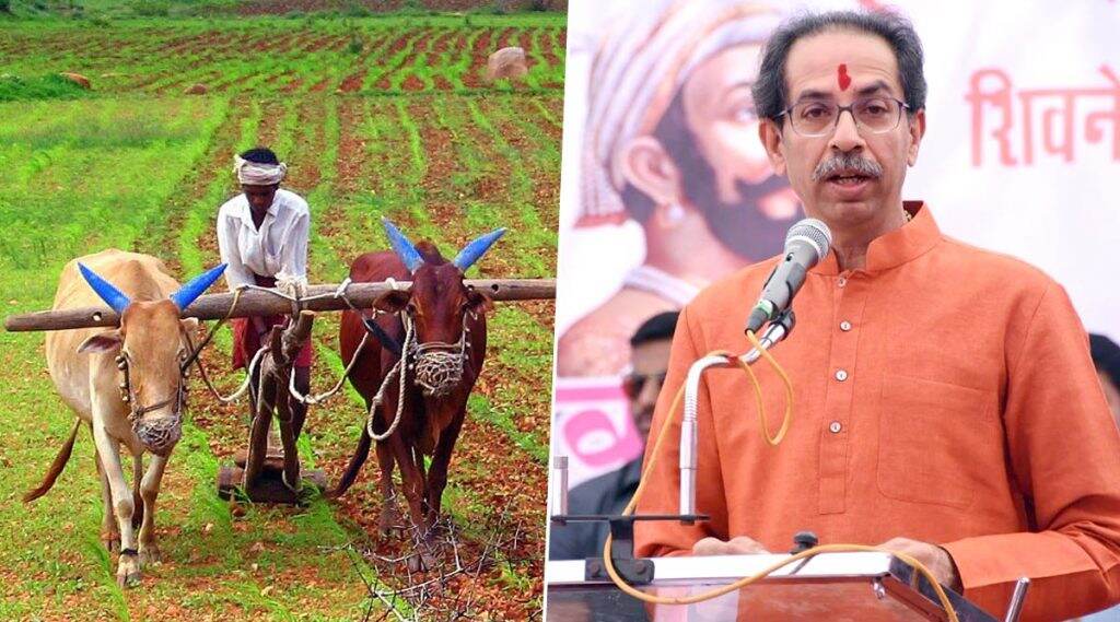 ठाकरे सरकारकडून शेतकरी कर्जमाफीची दुसरी यादी 28 फेब्रुवारीला जाहीर केली जाणार ठाकरे सरकारकडून शेतकरी कर्जमाफीची दुसरी यादी 28 फेब्रुवारीला जाहीर केली जाणार