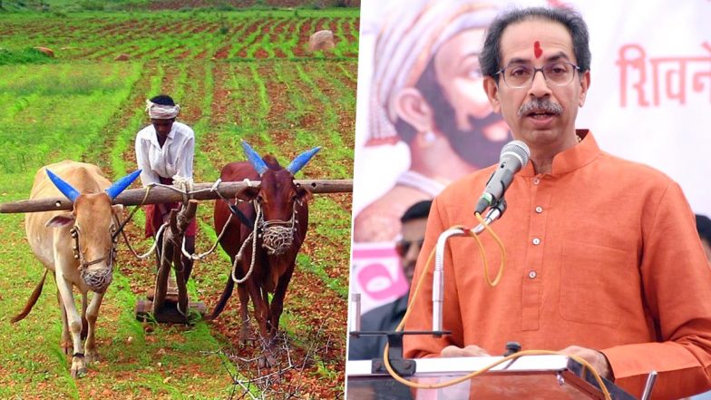 ठाकरे सरकारकडून शेतकरी कर्जमाफीची दुसरी यादी 28 फेब्रुवारीला जाहीर केली जाणार
