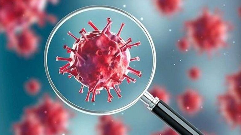 Coronavirus Outbreak: भारतात गेल्या 24 तासांत 508 नव्या कोरोना रुग्णांची भर; देशातील कोरोना बाधितांची संख्या 4789 वर पोहचली