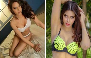 Sherlyn Chopra: शर्लिन चोपडा हिने हॉट व्हिडीओ शेअर करून Coronavirus Lockdown दरम्यान काय करावे या प्रश्नाचे दिले उत्तर (Watch Video)