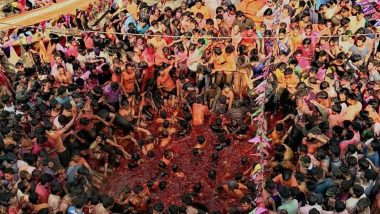 Rang Panchami 2020: नाशिक मध्ये रहाडीत खेळली जाते रंगपंचमी; 'या' पेशवेकालीन परंपरेबद्दल वाचा सविस्तर