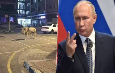 Fact Check: रशियाचे राष्ट्राध्यक्ष  Vladimir Putin यांनी रस्त्यावर 800 वाघ, सिंह सोडल्याची पोस्ट सोशल मीडियात व्हायरल; काय आहे या मागील सत्यता?