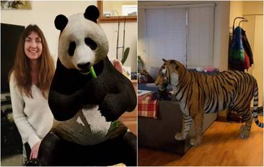 Google 3D Animals: लॉक डाऊनमध्ये झालात बोअर? Tiger, Giant Panda, Lion यांच्यासह विविध प्राणी-पक्षांना 3D इफेक्टमध्ये भेटा तुमच्या घरात