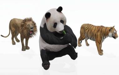 Google 3D Animals Video Tutorial: 'या' सोप्प्या टिप्स वापरून Tiger, Giant Panda, Lion, Tiger आणि Penguin ला डिजिटली आणा तुमच्या घरी!  (Watch Video)