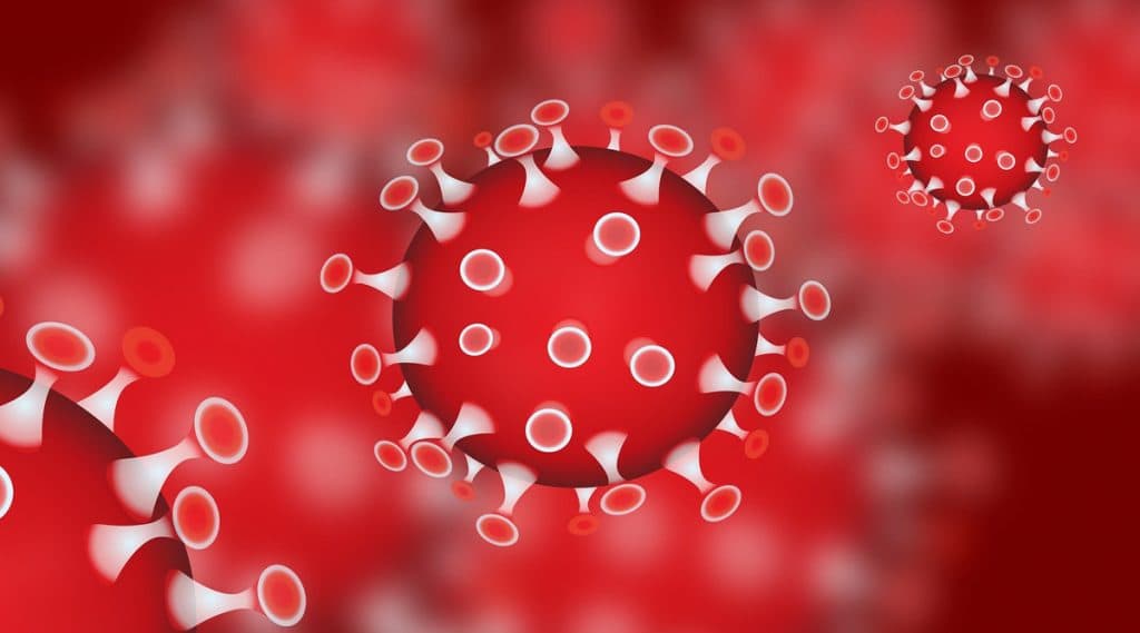Coronavirus: भारतात गेल्या 24 तासात 704 नवे कोरोनाचे रुग्ण आढळल्याने आकडा 4281 वर पोहचला Coronavirus: भारतात गेल्या 24 तासात 704 नवे कोरोनाचे रुग्ण आढळल्याने आकडा 4281 वर पोहचला