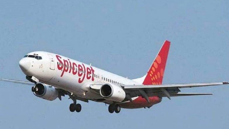 SpiceJet कडून  Happy At Home Sale ची घोषणा; 939 रूपयांंत विमान प्रवास सोबत रिशेड्युलची मुभा! जाणून घ्या काही खास ऑफर्स