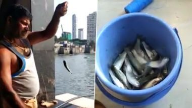 वरळीच्या मच्छीमाराचा वर्क फ्रॉम होम व्हिडीओ व्हायरल; घरातूनच गळ टाकून पकडले समुद्रातले मासे (Watch Video)