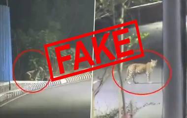 ठाणे शहरातील रस्त्यांवर फिरतोय Leopard? जाणून घ्या 'या' Viral Video मागील सत्य