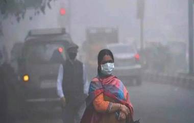 Air Pollution: वायू प्रदूषणाच्या बाबतीत भारताची स्थिती गंभीर; 2019 मध्ये तब्बल 1.16 लाख नवजात बाळांचा झाला मृत्यू