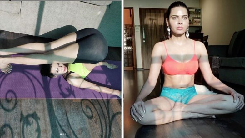 Sherlyn Chopra Hot: Lock Down काळात शर्लिन चोपडा चे योग करतानाचा 'हा' अंदाज आहेत खूपच हॉट; बघूनही व्हाल घामाघूम