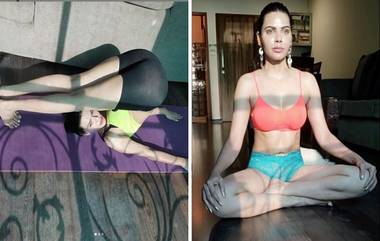 Sherlyn Chopra Hot: Lock Down काळात शर्लिन चोपडा चे योग करतानाचा 'हा' अंदाज आहेत खूपच हॉट; बघूनही व्हाल घामाघूम