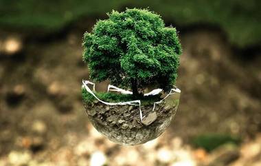 Earth Day 2020: जागतिक पृथ्वी दिना निमित्त टाळा पर्यावरणाचा -हास करणा-या 'या' गोष्टी आणि जपा वसुंधरेचे पावित्र्य