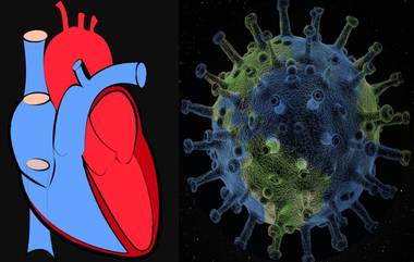 Coronavirus: हृदयविकार रुग्णांनो COVID-19 विषाणूला घाबरु नका, काळजी घ्या.. निश्चिंत राहा- तज्ज्ञांचा सल्ला