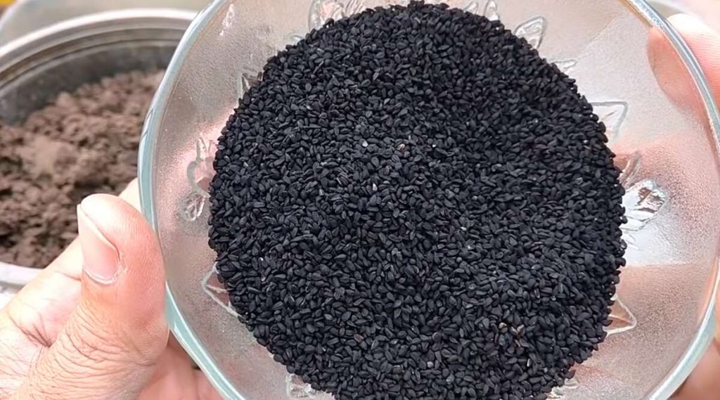 Black Seeds Kalonji Meaning In Marathi