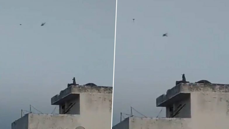Monkey Flying Kite: गच्चीवर बसून चक्क माकडाने मजेत उडवला पतंग; लॉक डाऊनमध्ये वेगाने होत आहे Evolution, पहा Video
