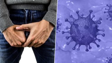 Testicles And Coronavirus: अंडकोषांमुळे पुरुषांमध्ये वाढतो कोरोना व्हायरसचा धोका? मुंबईच्या कस्तुरबा रुग्णालयात COVID-19 रुग्णांवर झाला अभ्यास