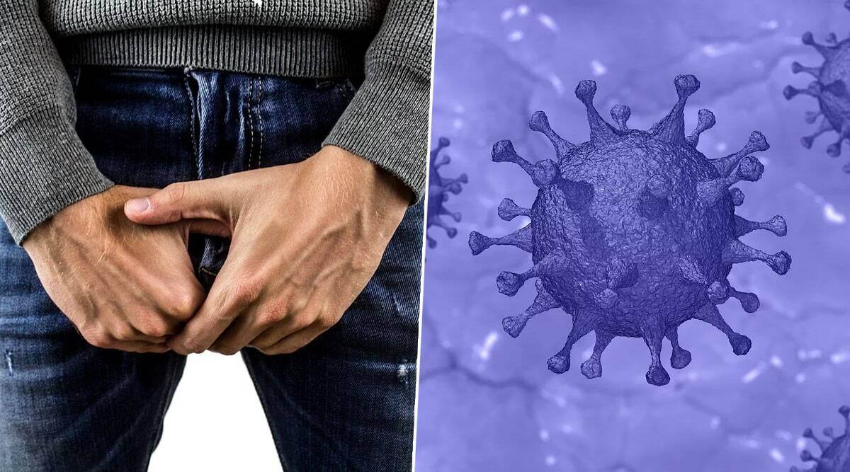 Testicles And Coronavirus: अंडकोषांमुळे पुरुषांमध्ये वाढतो कोरोना व्हायरसचा धोका? मुंबईच्या कस्तुरबा रुग्णालयात COVID-19 रुग्णांवर झाला अभ्यास
