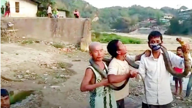 Coronavirus Lockdown: अरुणाचल प्रदेशात लॉकडाउनच्या काळात शिकाऱ्यांकडून किंग कोब्रा जातीच्या सापाची हत्या