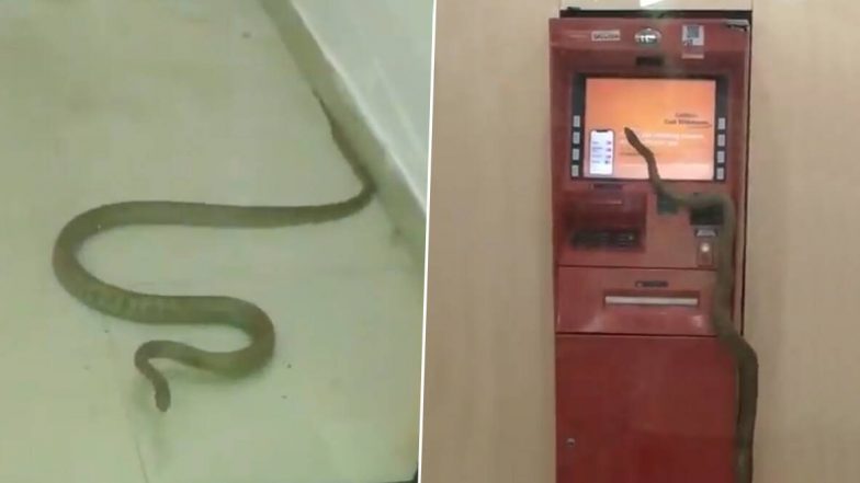 गाजियाबाद मधील ATM मशीन मध्ये शिरला साप; थरकाप उडवणारा व्हिडिओ सोशल मीडियात व्हायरल