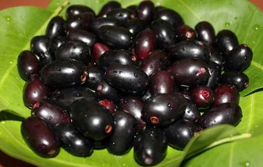 Health Benefits of Jamun: मधुमेह, रक्तदाब यांसारख्या अनेक आजारांवर गुणकारी आहे जांभूळ, जाणून घ्या आरोग्यदायी फायदे