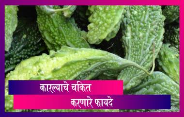 Health Tips: कारले खाण्याचे 'हे' फायदे ऐकून तुम्हाला विश्वास बसणार नाही