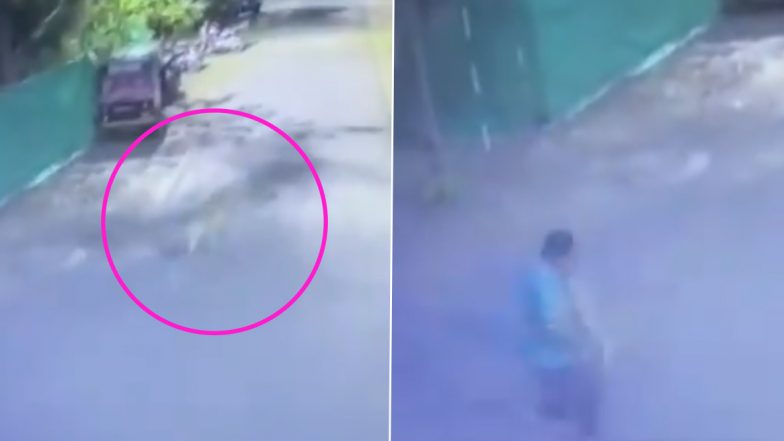 महाराष्ट्र: नाशिक मधील इंदिरा नगर भागात बिबट्याचा दोघांवर जीवघेणा हल्ला, हे थरारक दृश्य सीसीटीव्हीत कैद, Watch Video