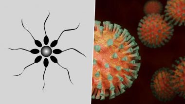 Sex मार्फत पसरू शकतो Coronavirus? COVID-19 बाधित रुग्णाच्या वीर्यात कोरोना विषाणू सापडल्याने संकटात भर पडण्याची शक्यता