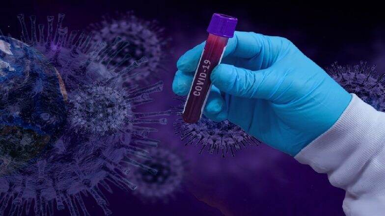 Coronavirus Outbreak: जगभरात तब्बल 53 लाखांपेक्षा अधिक नागरिकांना कोरोना व्हायरसचा संसर्ग; 3 लाखाहून अधिक रुग्णांचा मृत्यू
