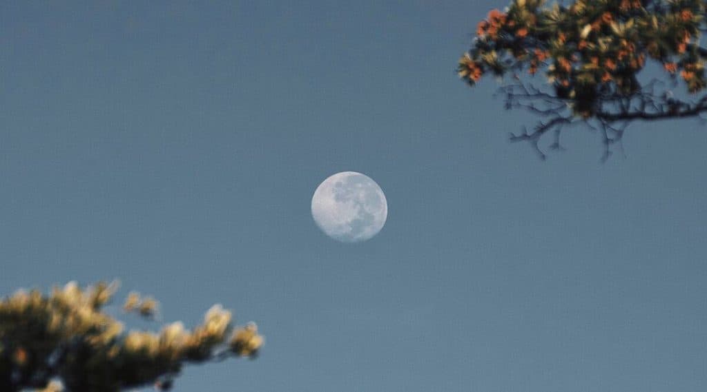 Super Flower Full Moon 2020 Date and Time: या महिन्यात दिसणार वर्षातील शेवटचा ‘पूर्ण चंद्र’; जाणून घ्या तारीख आणि वेळ Super Flower Full Moon 2020 Date and Time: या महिन्यात दिसणार वर्षातील शेवटचा ‘पूर्ण चंद्र’; जाणून घ्या तारीख आणि वेळ