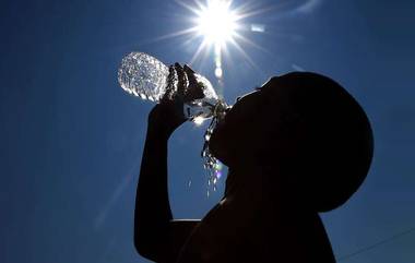 Heat Wave: विदर्भातील काही जिल्ह्यांमध्ये उष्णतेची लाट पुन्हा येण्याची शक्यता