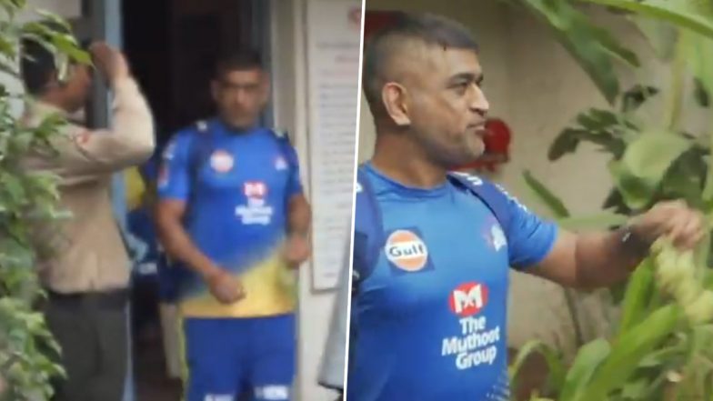 CSK ने शेअर केला 'थाला' एमएस धोनीचा नवीन व्हिडिओ, 'आया शेर आया शेर' म्हणत Netizens ने केले स्वागत