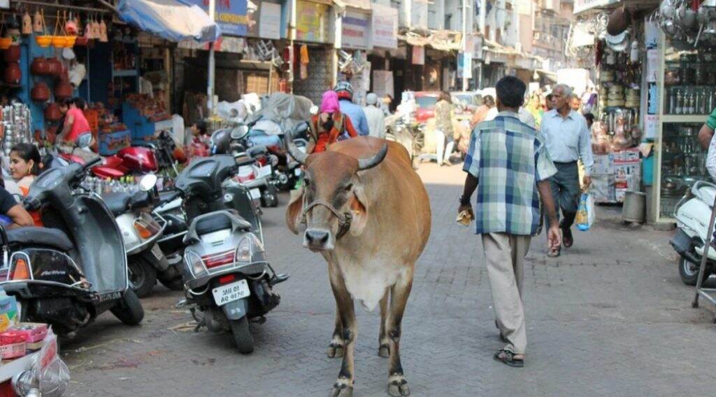 Lockdown: मुंबईकरांनो Mumbai RED ZONE मध्ये आहे, परवानगीशिवाय प्रवास टाळा, अन्यथा कारवाईला सामोरे जा- मुंबई पोलीस Lockdown: मुंबईकरांनो Mumbai RED ZONE मध्ये आहे, परवानगीशिवाय प्रवास टाळा, अन्यथा कारवाईला सामोरे जा- मुंबई पोलीस